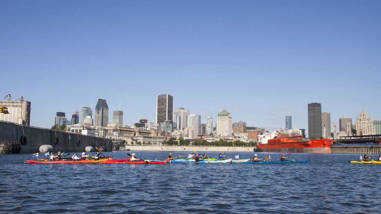 Les participants au Dfi Kayak dans le Vieux-Port de Montral  PRuel