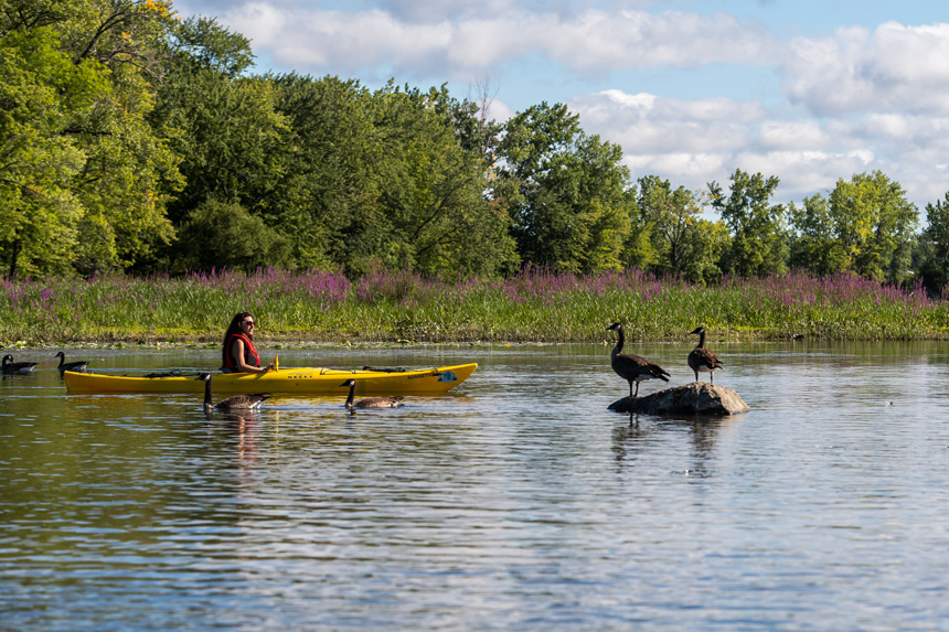 Kayak au parc de la Rivire-des-Mille-Iles  Andr Chevrier